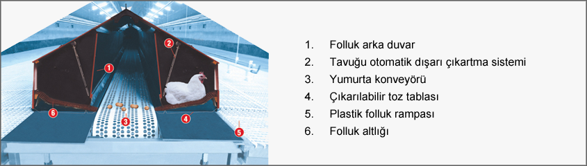 632446840_follukk